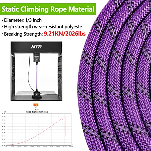 NTR Leash in 6ft*1/2", Purple