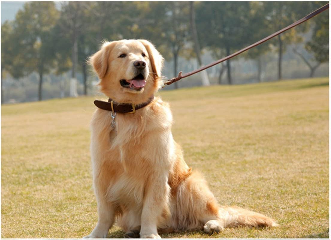 Guiding Star Leash in X-Small, Brown