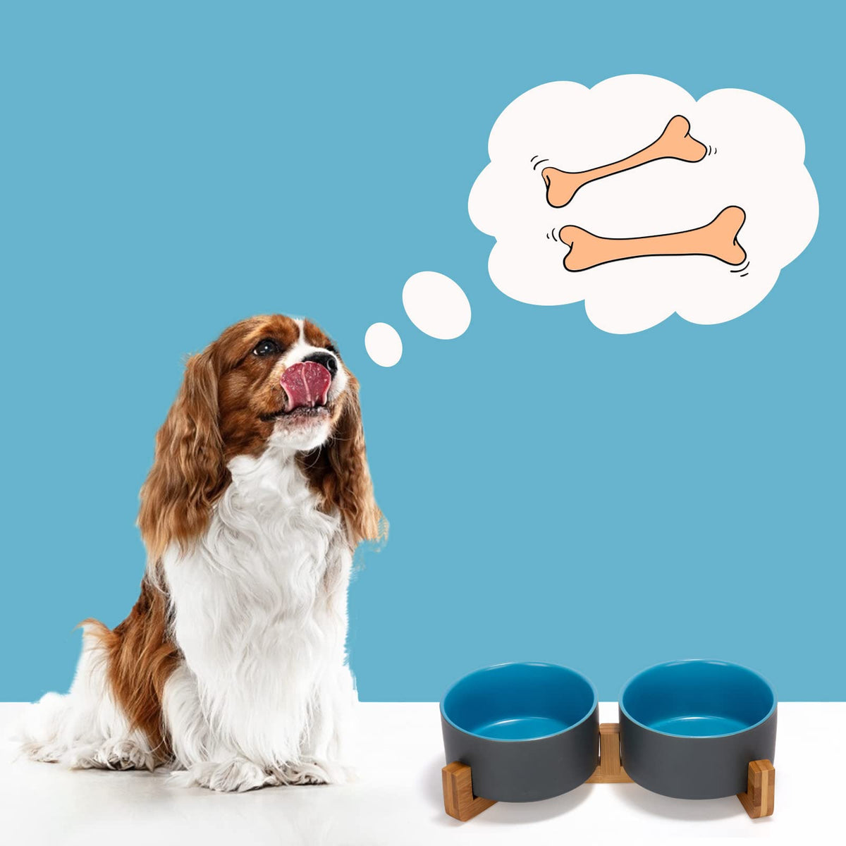 SPUNKYJUNKY Pet Feeder in 3.6 cups, Blue-Grey × 2