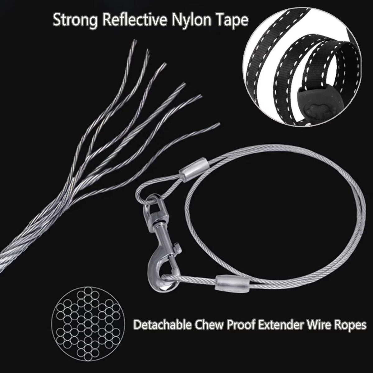 CROWN PAWS Leash in Small, Black
