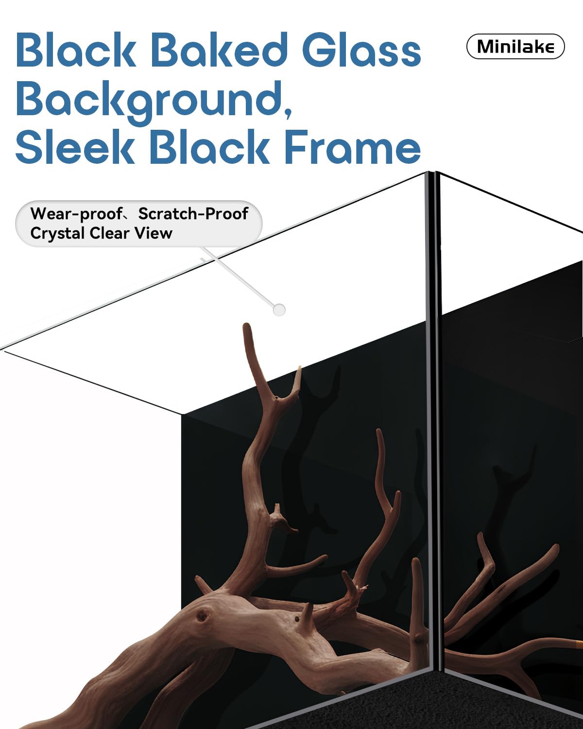 minilake Vivarium in 5 Gallon, Black