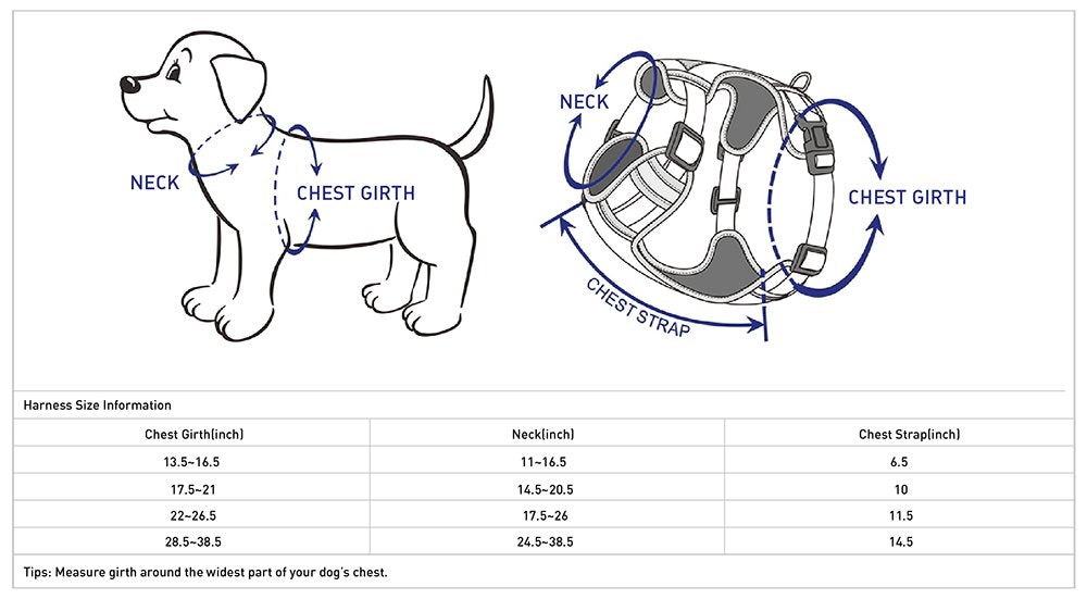 Blueberry Pet Animal Harness in Large, Blue-gray and Olive