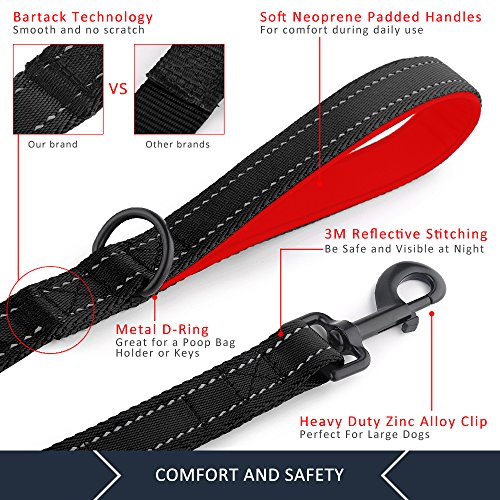 PLUTUS PET Leash in 4 FT, Black