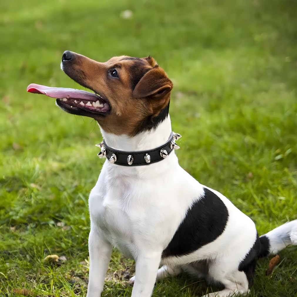 WeimoMonkey Animal Collar in X-Small(Neck7.5-10"), 40 Black