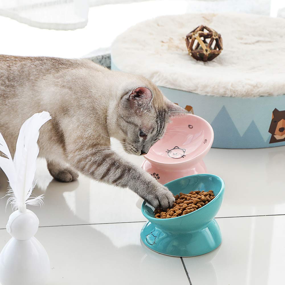 Sweejar Home Pet Feeder in 147ml, Turquoise