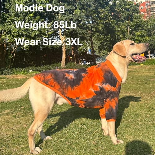 PriPre Pet Apparel in Large, Black Orange