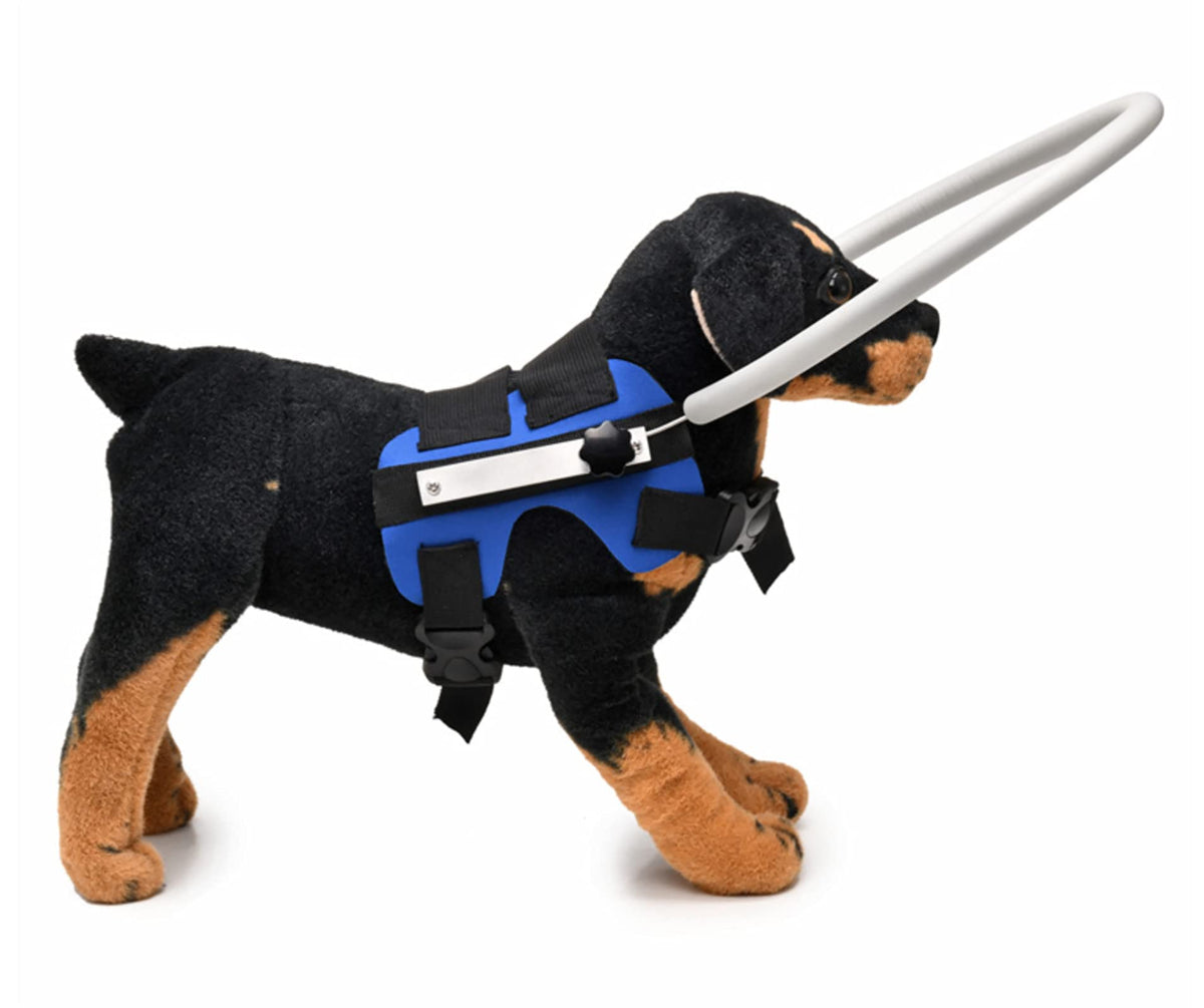 GabeFish Animal Harness in S: Recommand Weight: 8.8-22 lbs (4-10kg), Blue
