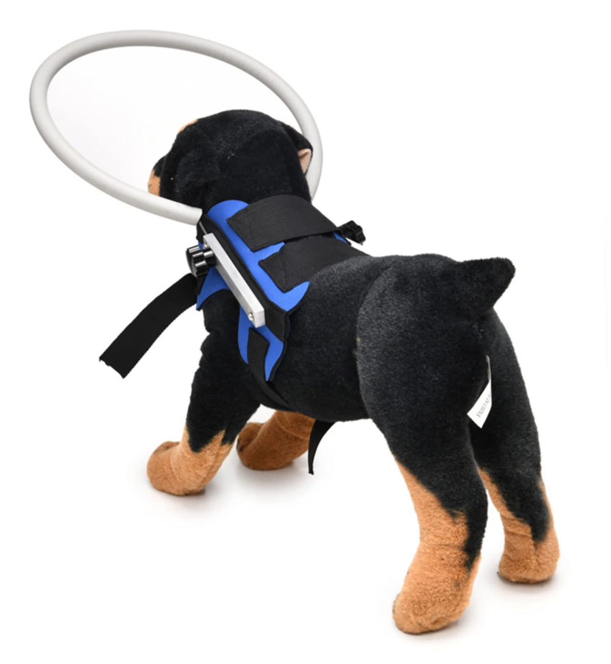 GabeFish Animal Harness in S: Recommand Weight: 8.8-22 lbs (4-10kg), Blue