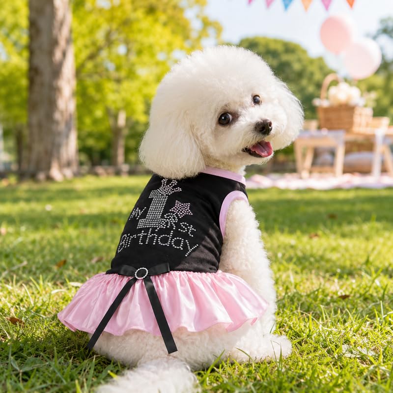 Petitebella Pet Apparel in X-Small, Black/Pink