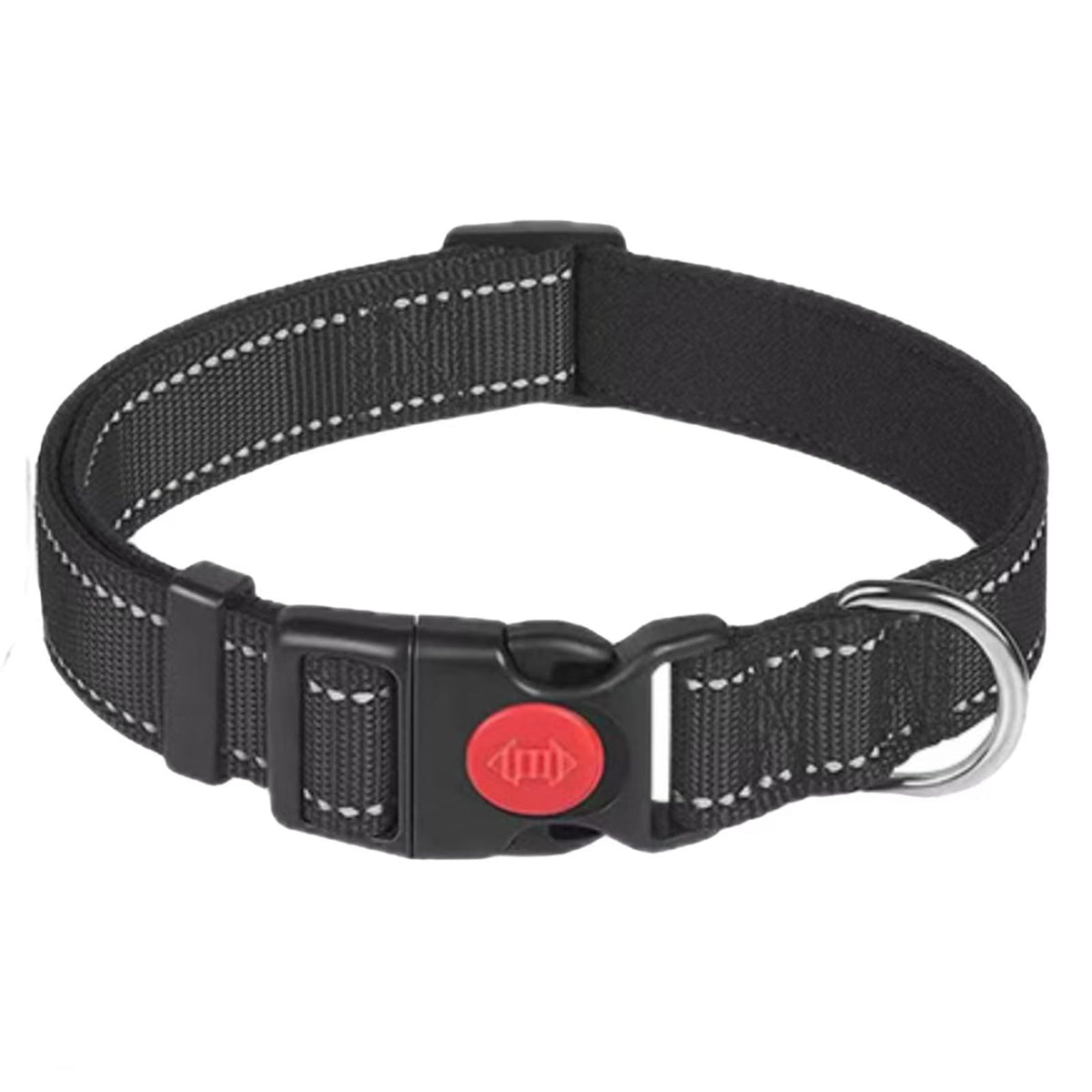 kazazoo Leash in M, collar