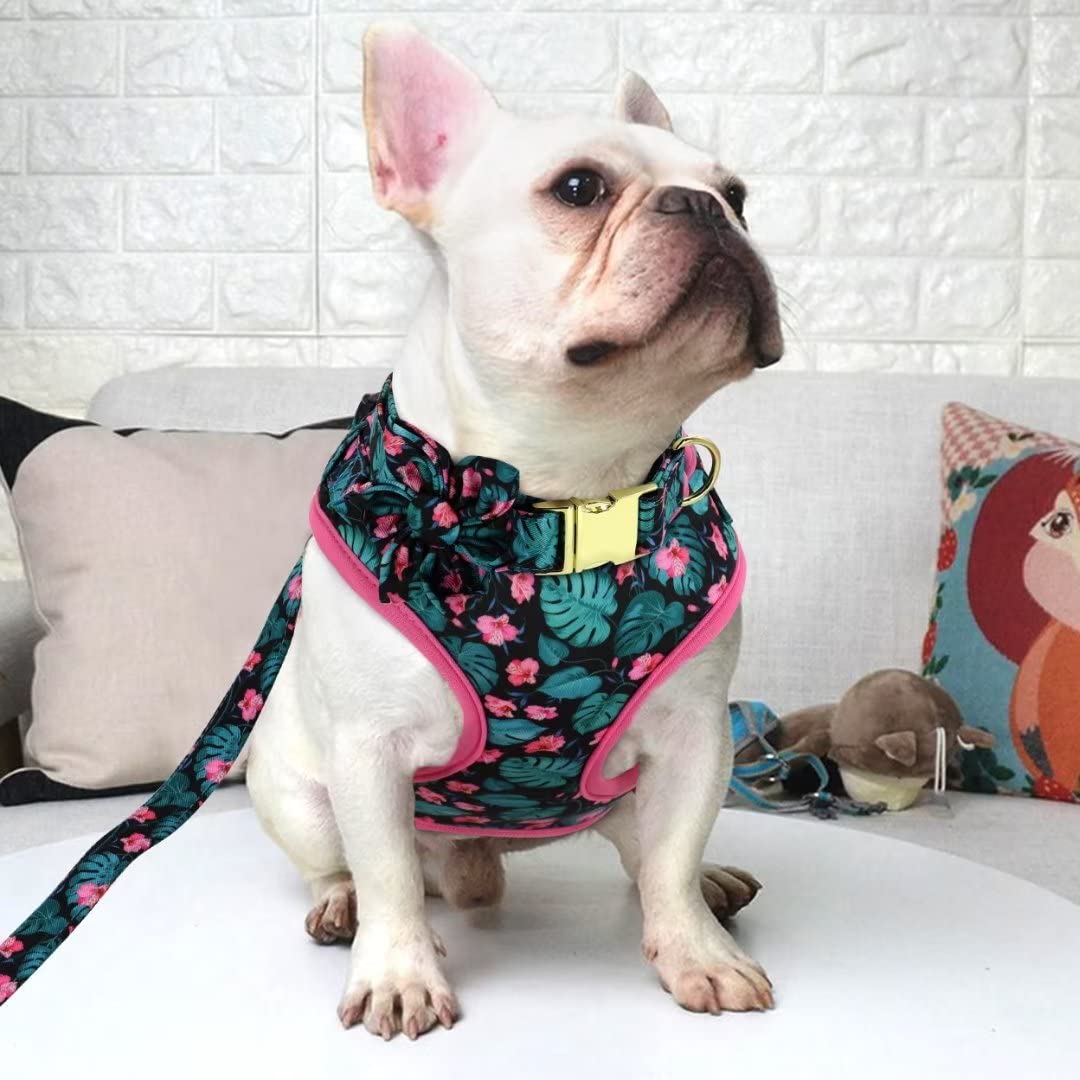 Beirui Animal Harness in XS:Fit 6-12 lbs, Green