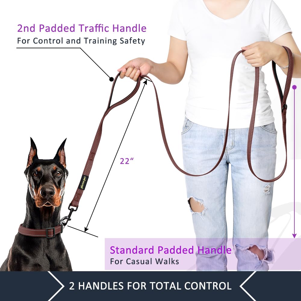 PLUTUS PET Leash in 4 FT, Chocolate