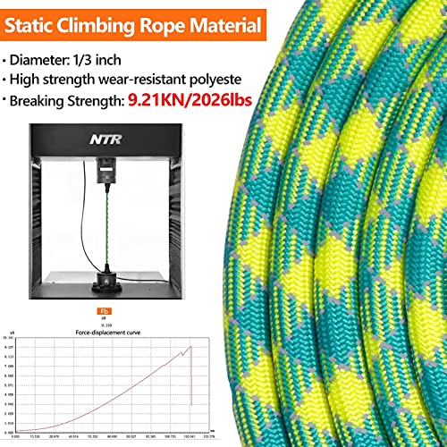 NTR Leash in 15ft*1/3", Teal/Yellow