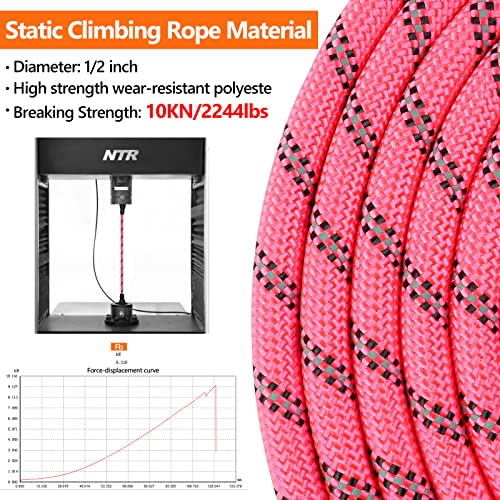 NTR Leash in 8ft*1/2", Pink