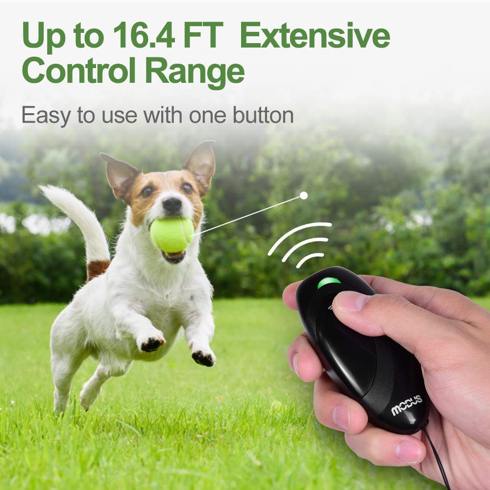 MODUS Pet Supplies in Anti-Barking Device, Black