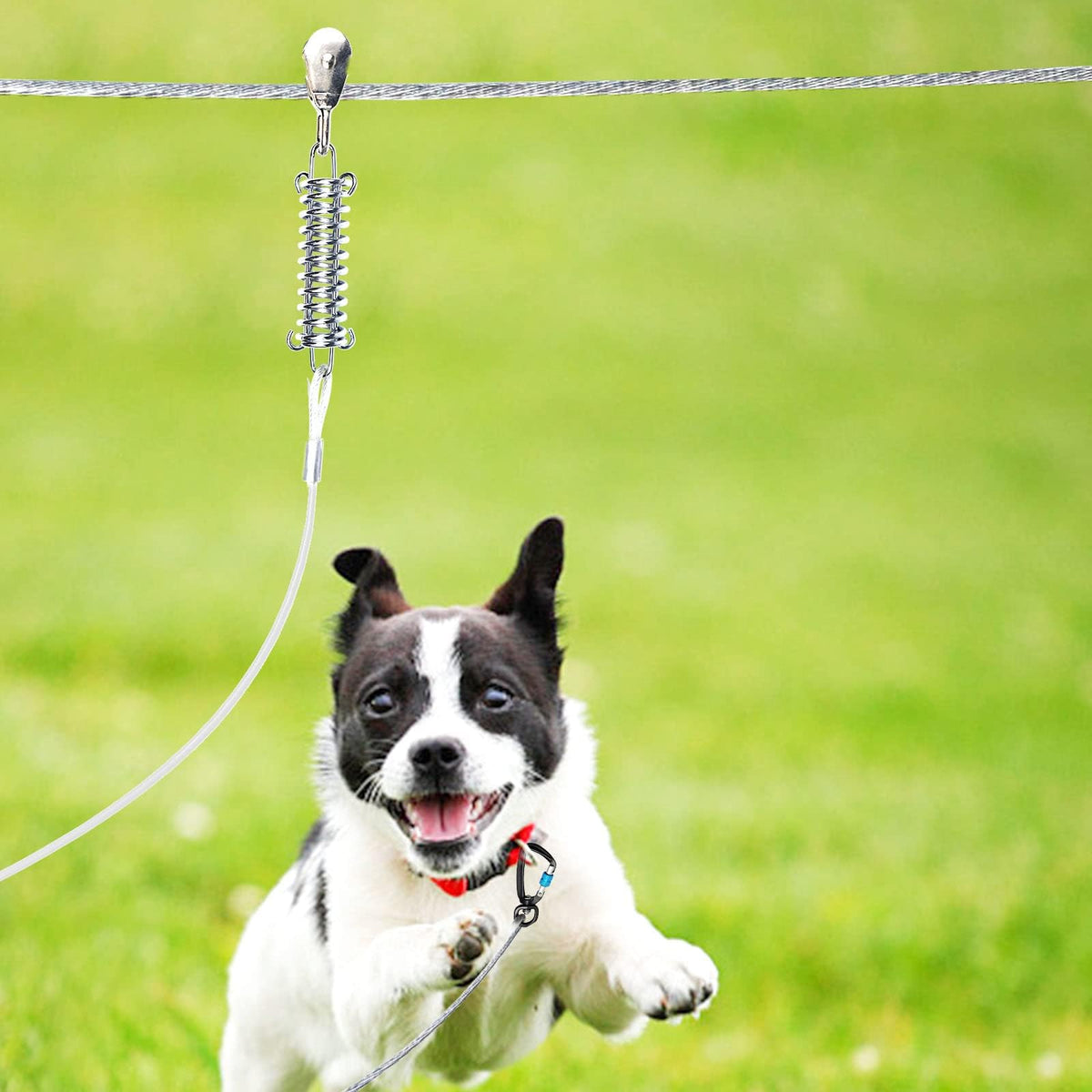 Snagle Paw Leash in 100ft run cable+10ft tie out cable, Silver for 250lbs dogs