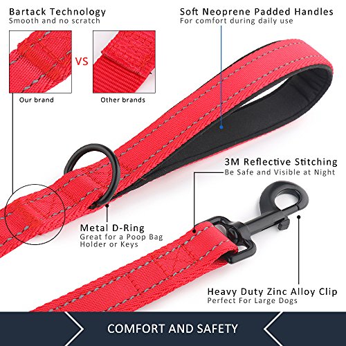 PLUTUS PET Leash in 4 FT, Red