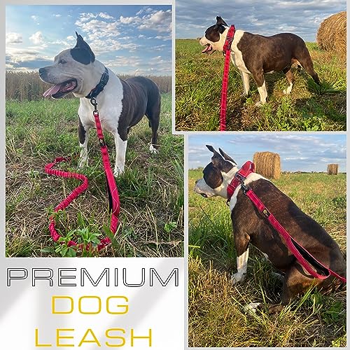 ADITYNA Leash in 6 feet to 7.5 feet, Pink