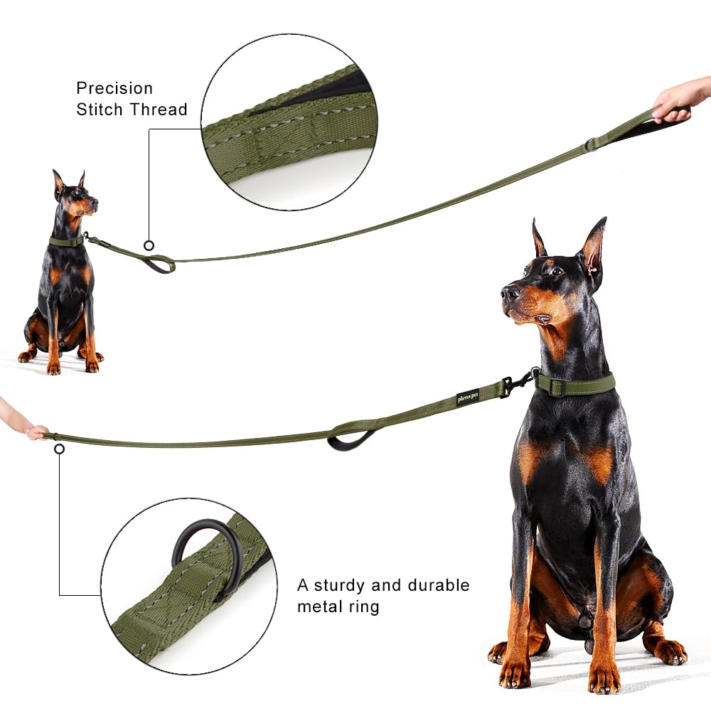 PLUTUS PET Leash in 4 FT, Ranger Green