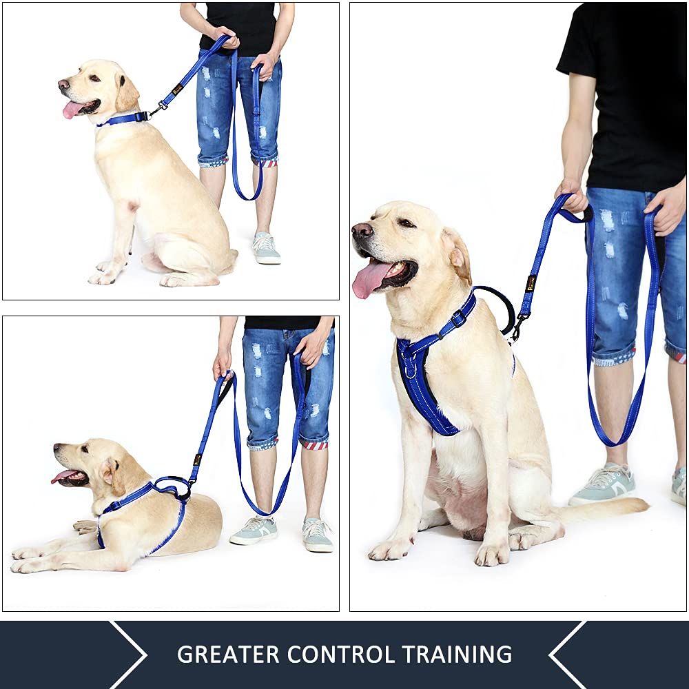 PLUTUS PET Leash in 4 FT, Navy Blue