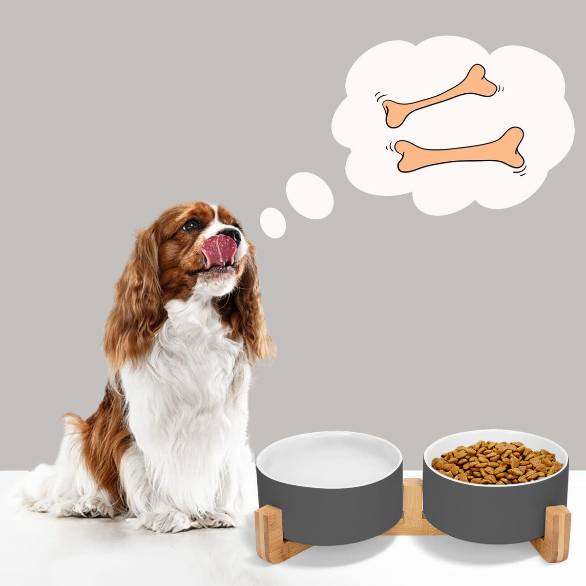 SPUNKYJUNKY Pet Feeder in 3.6 cups, White-Grey × 2