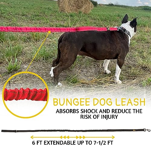 ADITYNA Leash in 6ft-7.5ft, Red