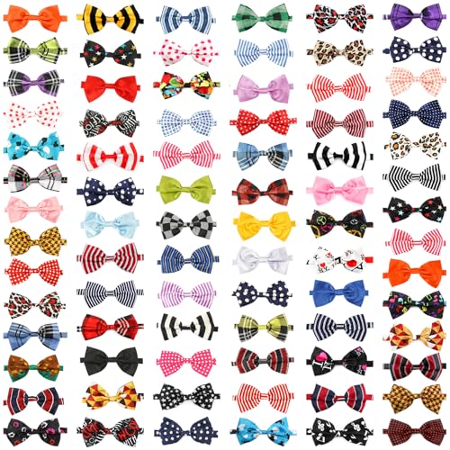 Segarty Pet Apparel in Small to Medium, 80pcs-vivid