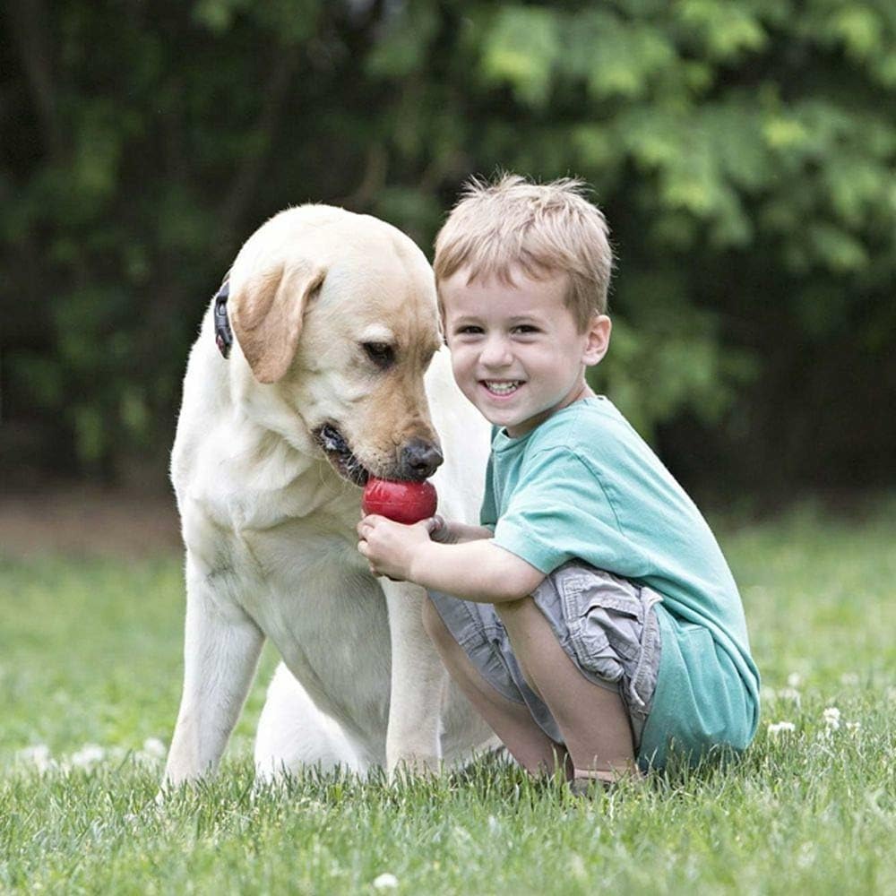 KONG Pet Toy in X-Large(2-Pack), Red
