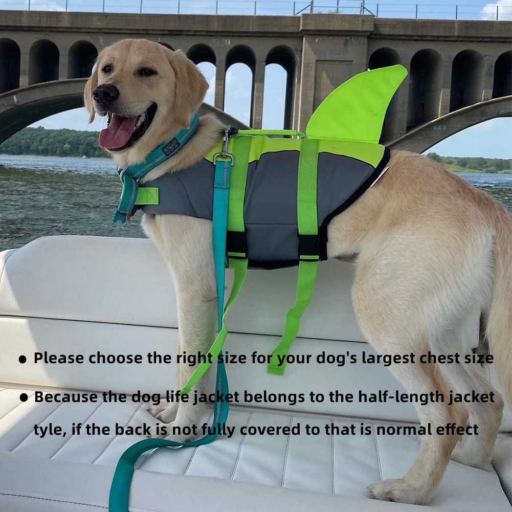 Doglay Pet Apparel in Medium, Green-Shark
