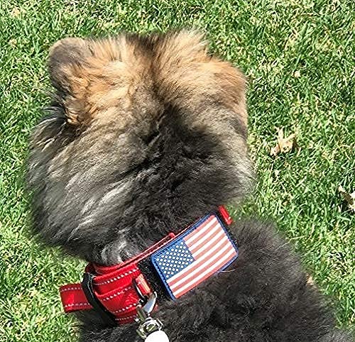 DEZIZEUSK9 Animal Collar in 16-25 INCH, RED-COBVEL2