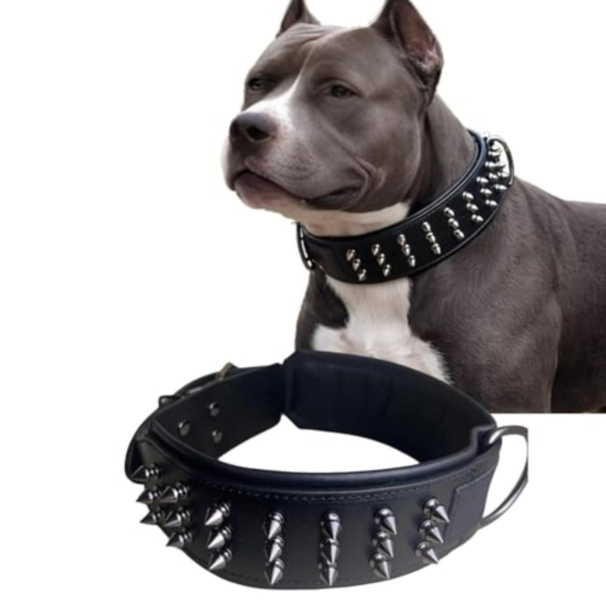 Molteriqo Animal Collar in XL-neck 49-57cm, Black