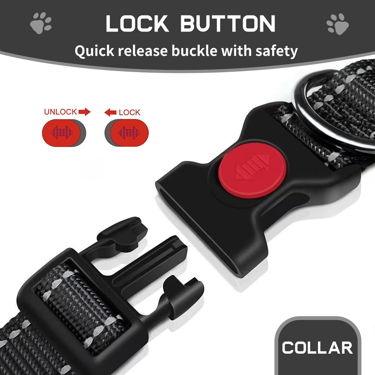 kazazoo Leash in M, collar
