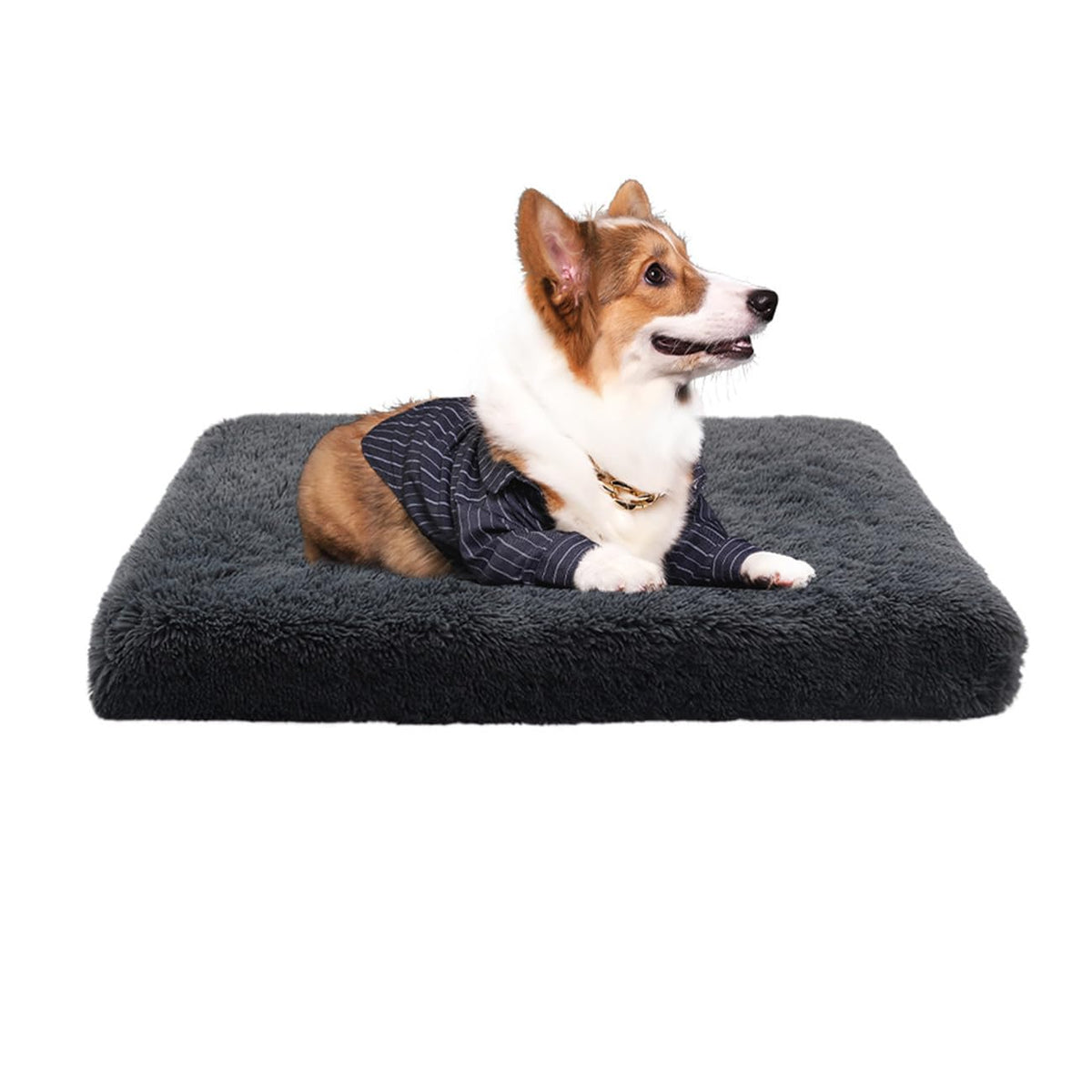 BECNBEAU Pet Bed Mat in S, Dark Grey