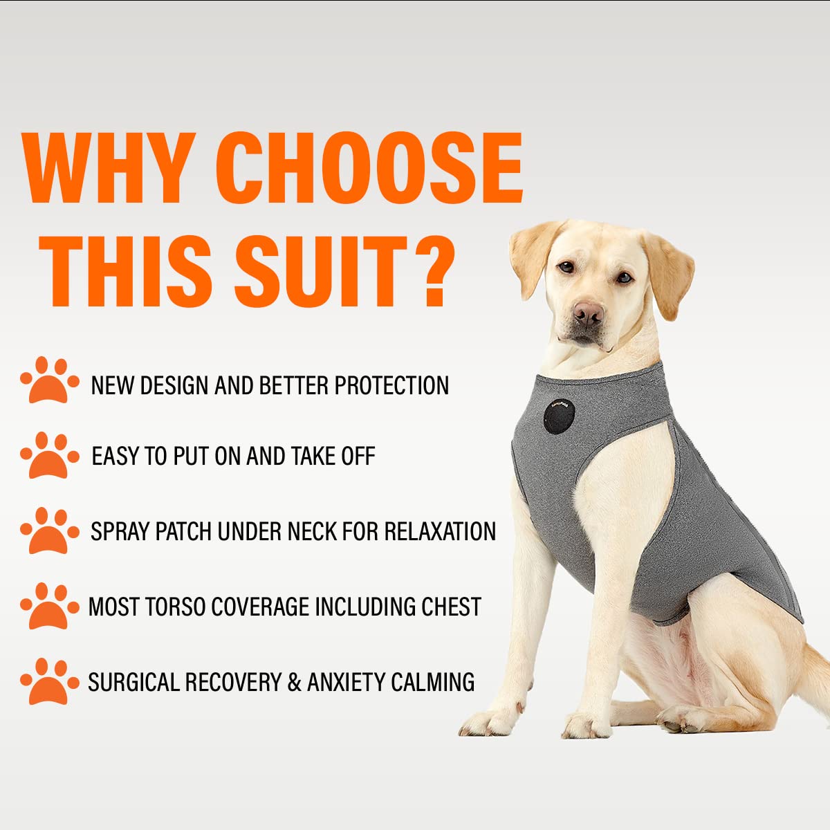 NeoAlly Pet Apparel in X-Small, Grey