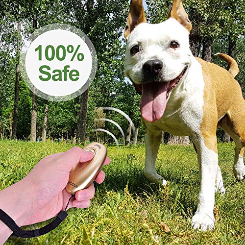 MODUS Pet Supplies in Gold Barks No More Dog Training Tool