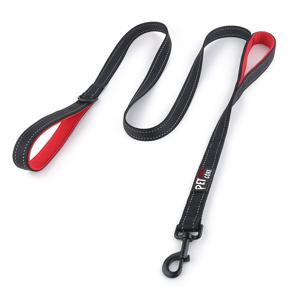 PLUTUS PET Leash in 4 FT, Black