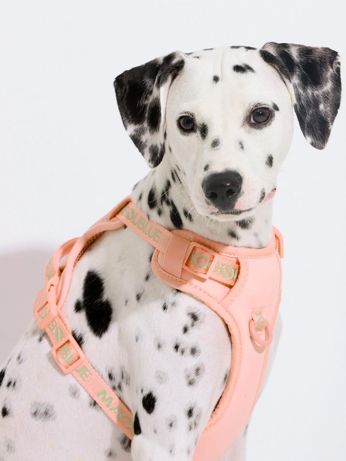Maogoublue Animal Harness in S(Neck:11.8-17.7",Chest:17.7-21.6"), Dune Beige