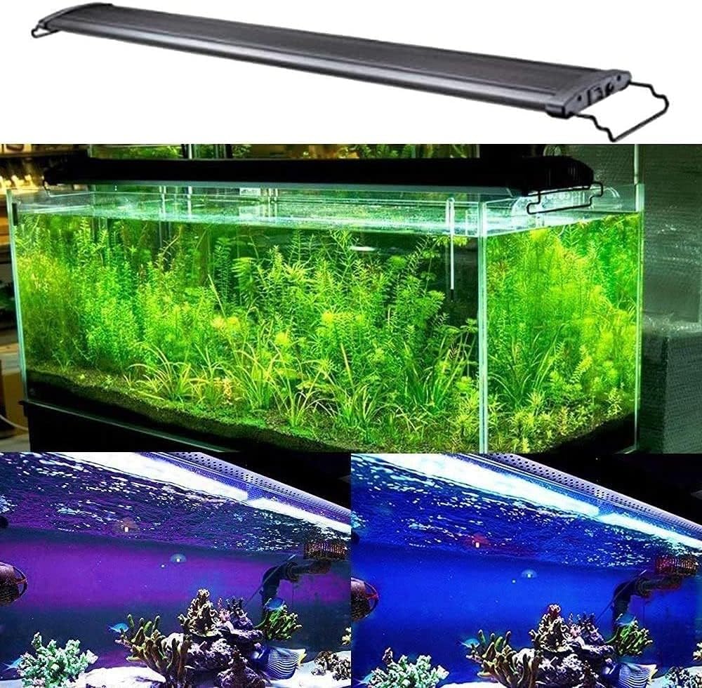 KZKR Lamp in Remote Control Multicolor 48-60 Inch(24+24"), mutil