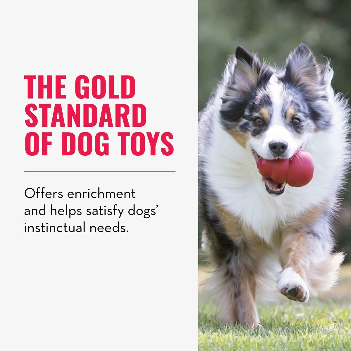 KONG Pet Toy in X-Large(2-Pack), Red