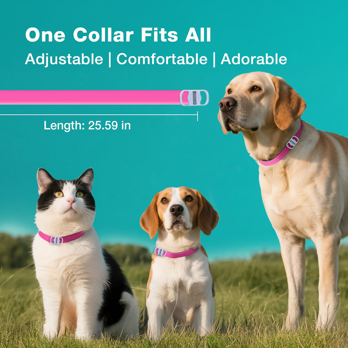 ZingZap Pet Pest Control in Pink