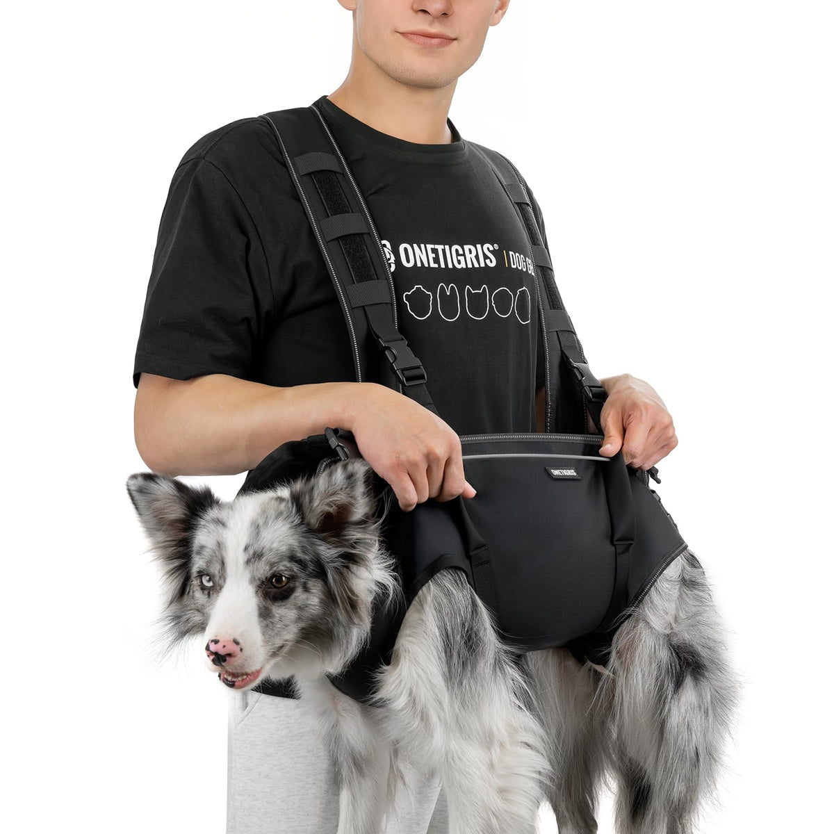 ONETIGRIS Animal Carrier in S: Chest 20-27", Back 8", Fits 18-32 lbs, grey