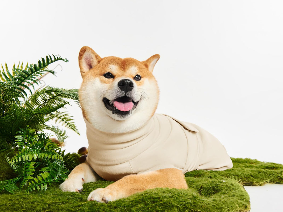 Haloumoning Pet Apparel in X-Small, Beige