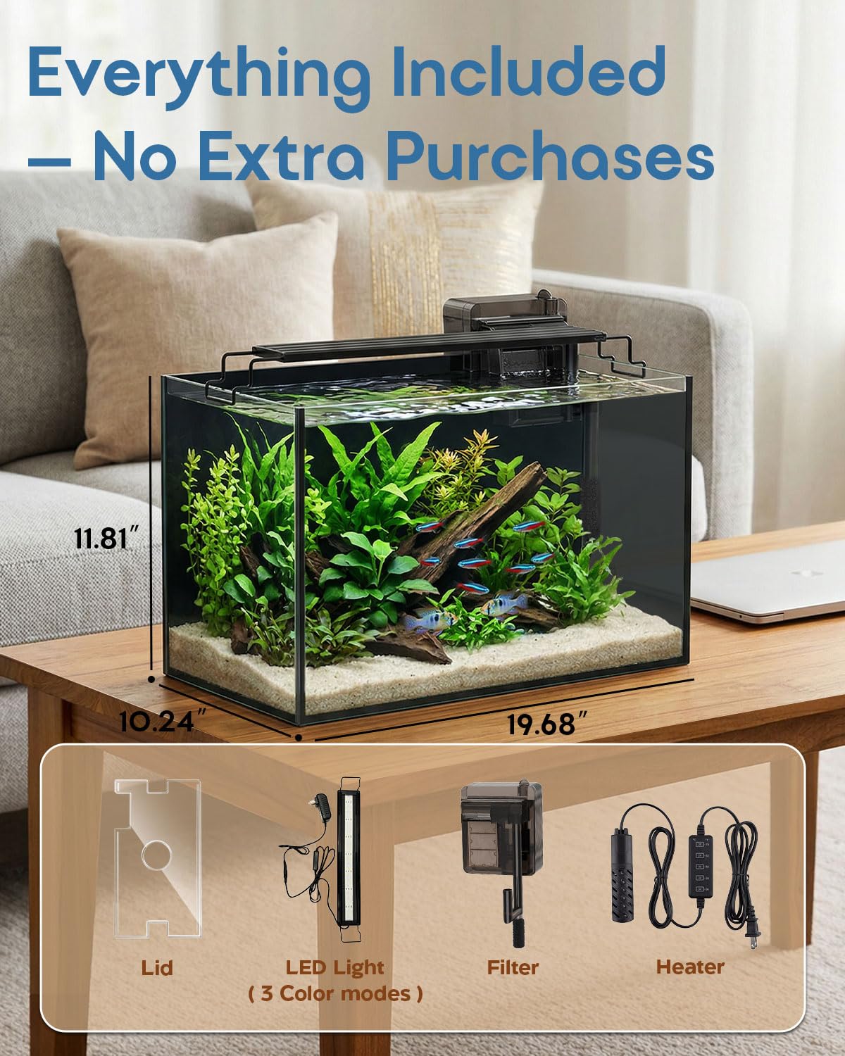 minilake Vivarium in 10 Gallon, Black