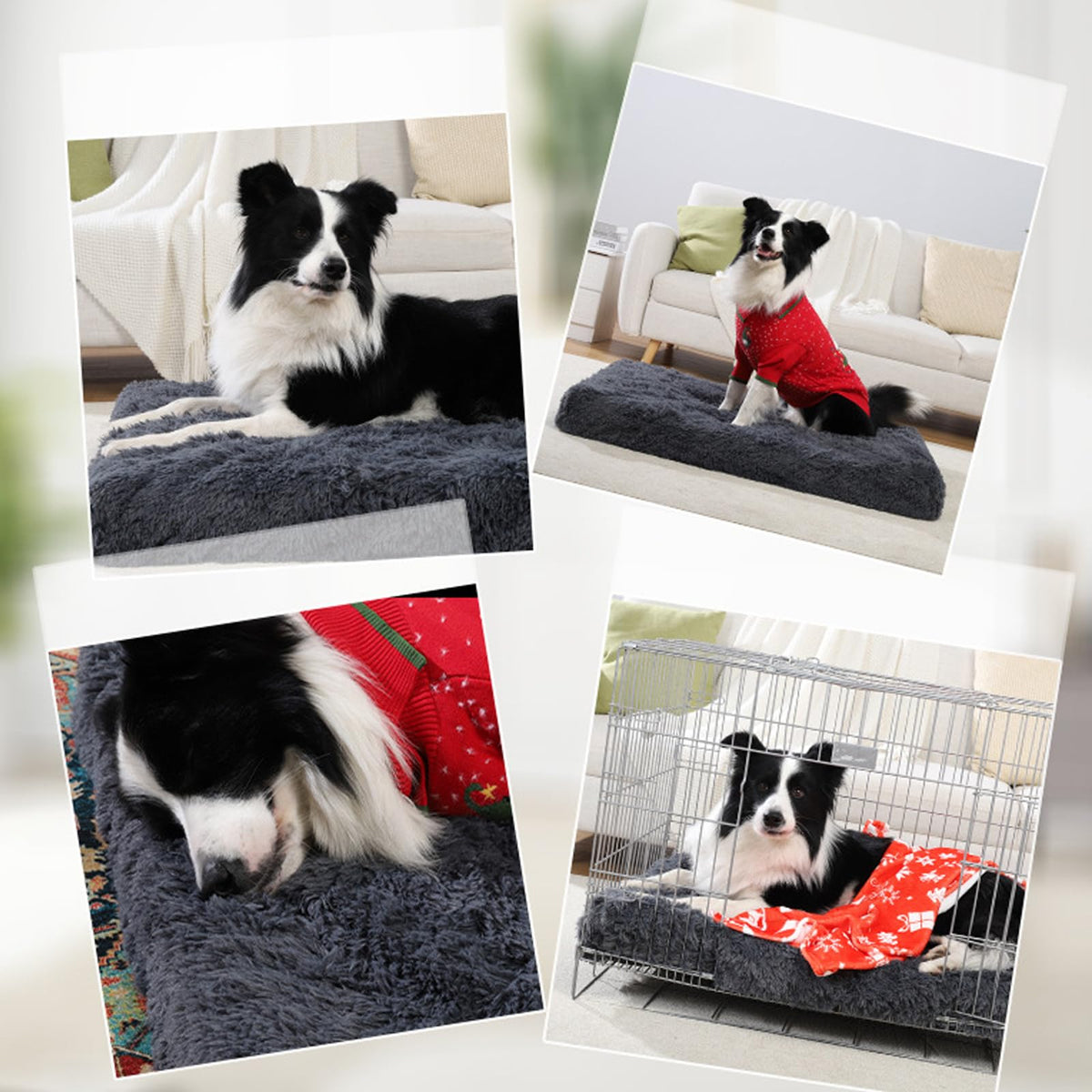 BECNBEAU Pet Bed Mat in S, Dark Grey