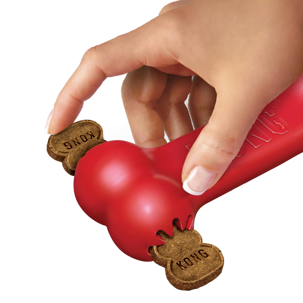 KONG Pet Toy in Medium (Pack of 1), Red