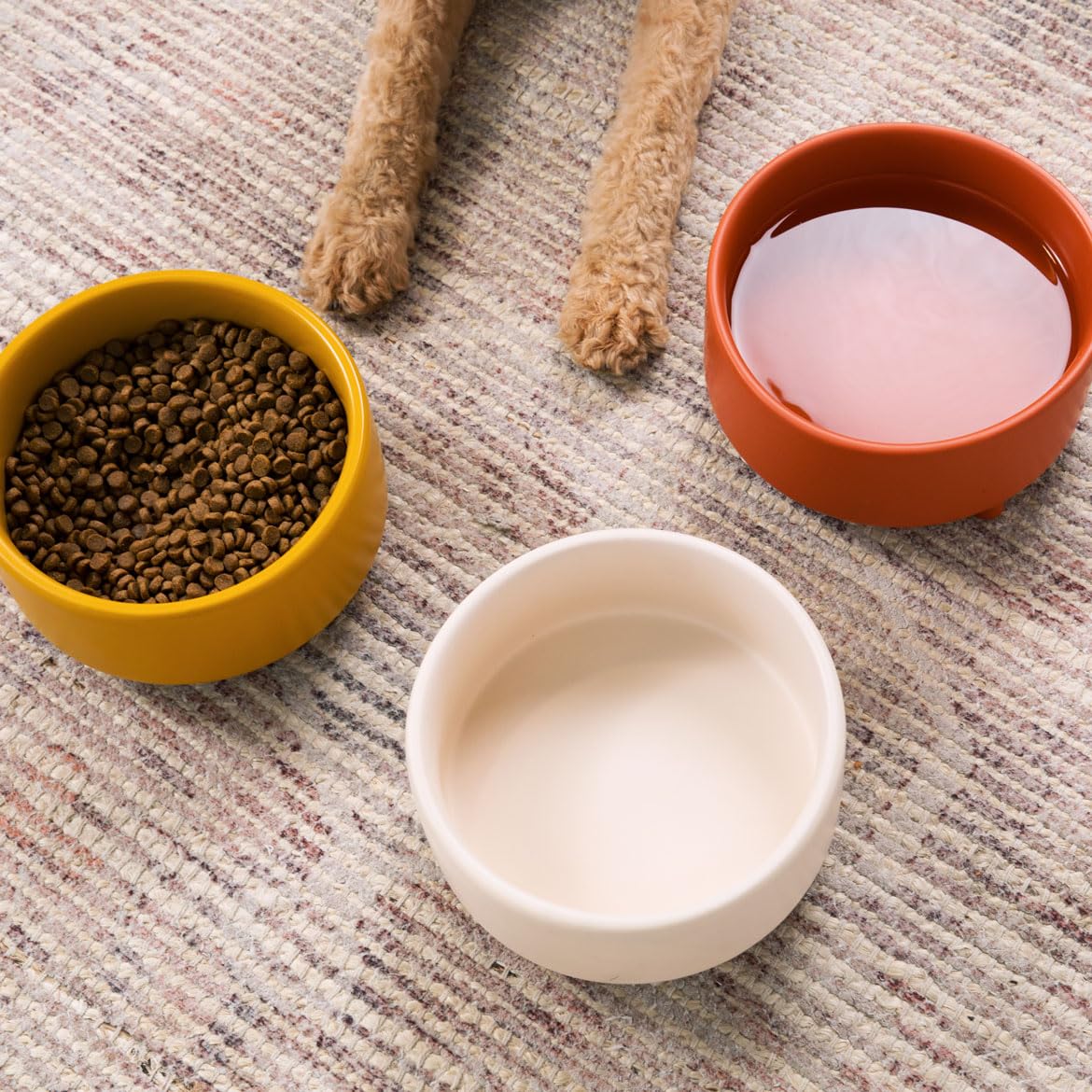 Waggo Pet Feeder in Small, Mustard