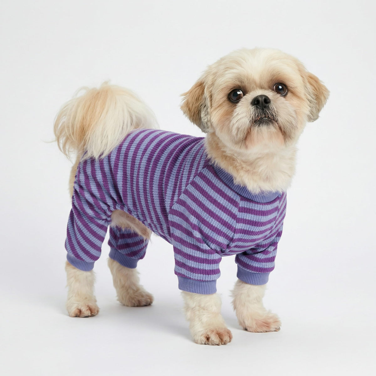 Fitwarm Pet Apparel in X-Small, DarkViolet