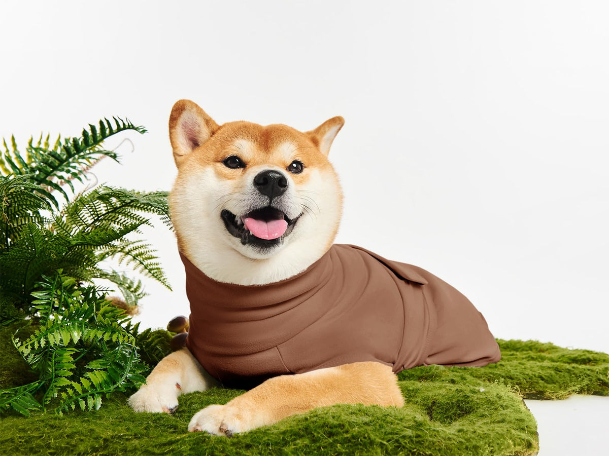 Haloumoning Pet Apparel in X-Small, Coffee
