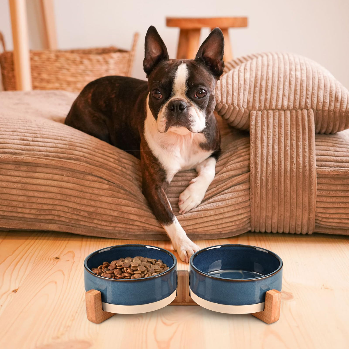 SPUNKYJUNKY Pet Feeder in 1.7 cups, Pattern Blue × 2