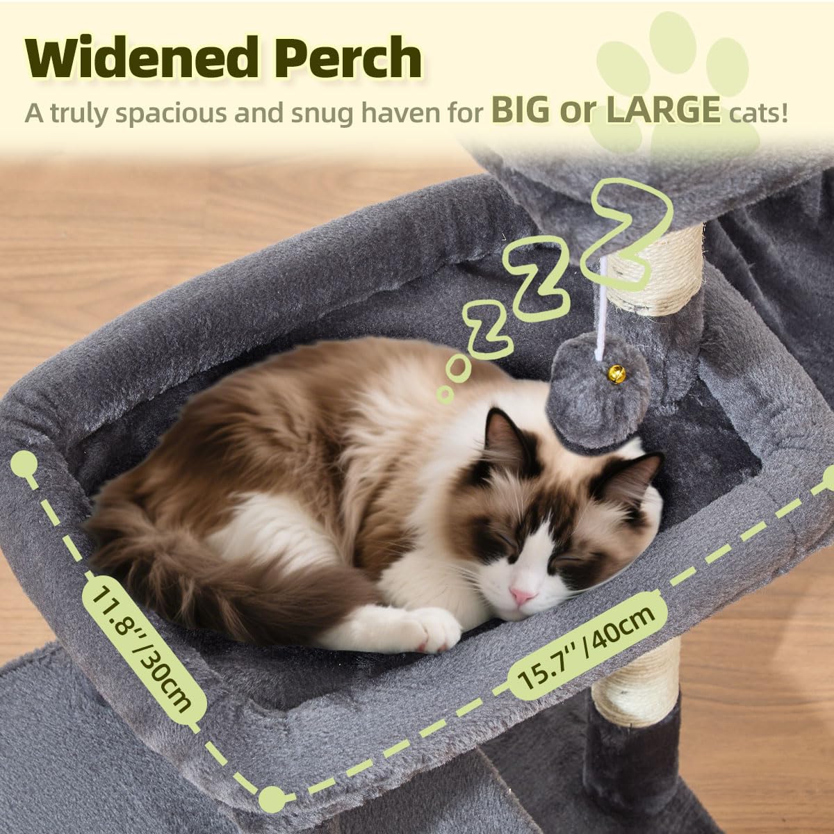Taoqimiao Pet Activity Structure in L, Smoky Gray